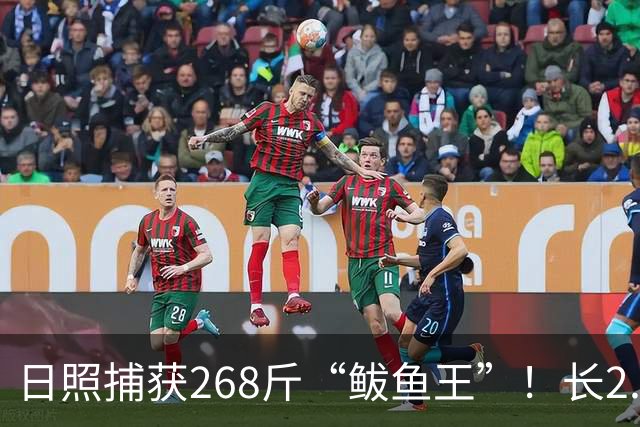 日照捕获268斤“鲅鱼王”！长2.46米！你这段买的水饺可能就是它！