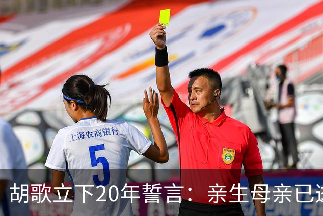 胡歌立下20年誓言:亲生母亲已逝,还有另一对父母在山东等着他