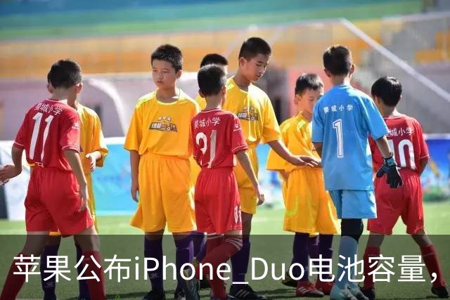 苹果公布iPhone Duo电池容量，Gurman称预购开放是「重大错误」